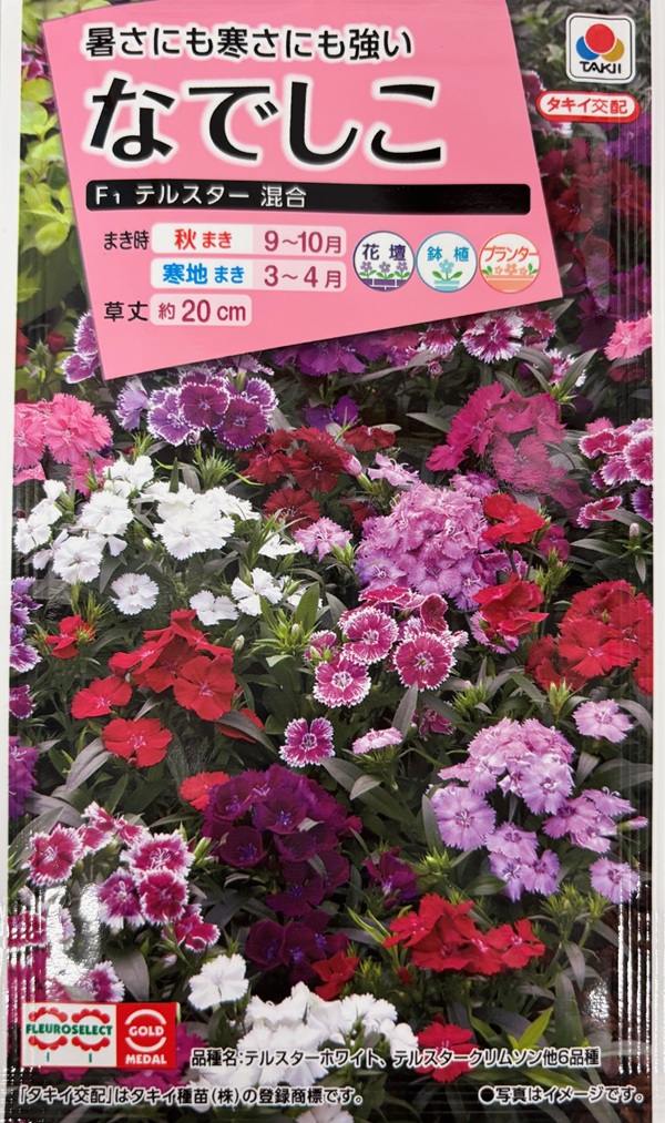 なでしこテルスター混合