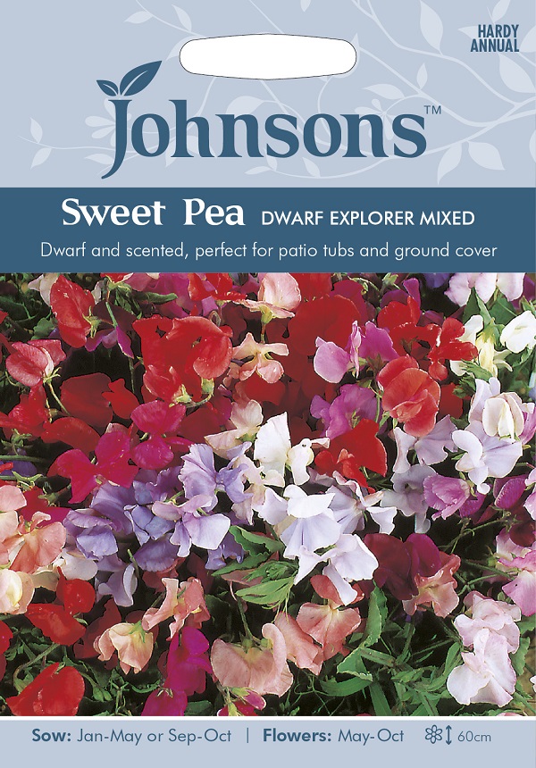 Johnsons Seeds Sweet Pea DWARF EXPLORER MIXED