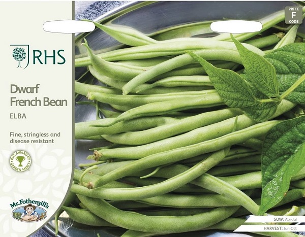dwarf french bean elba