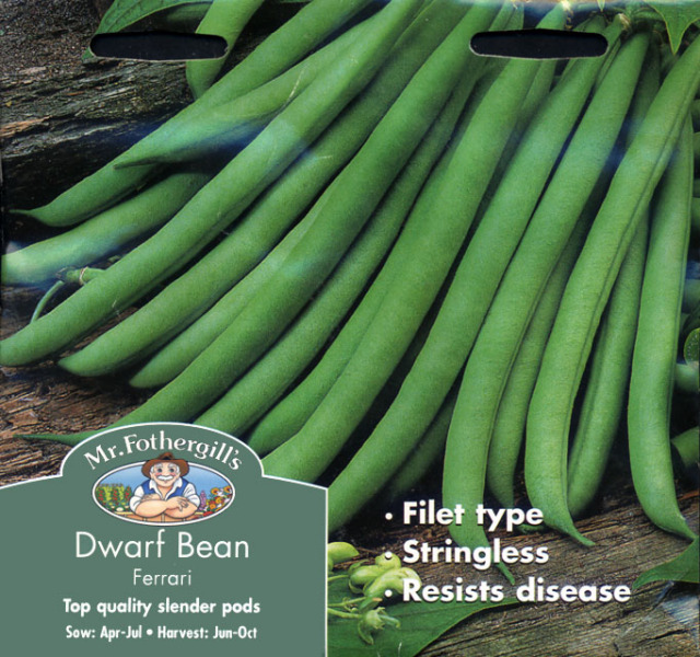 ドワーフ・ビーン フェラーリ