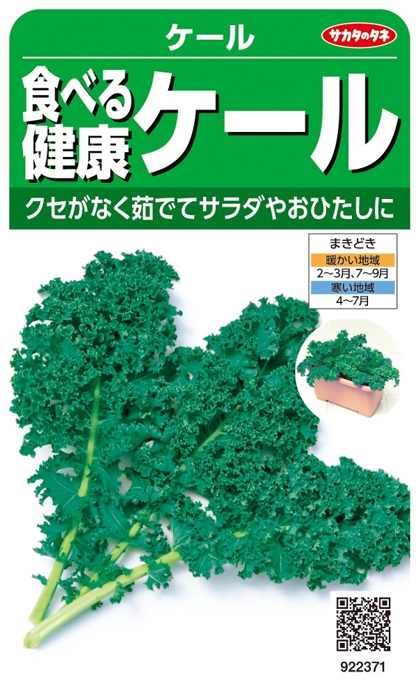 健康ケール