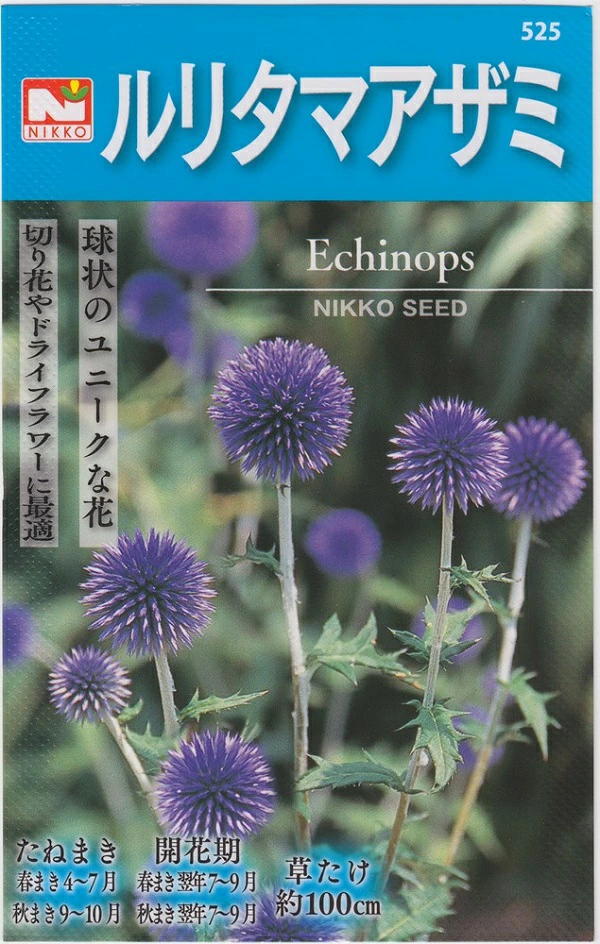 ルリタマアザミ