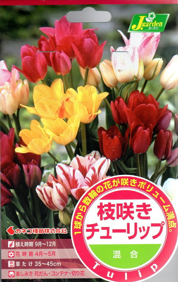 枝咲きチューリップ 混合