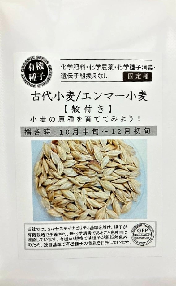 エンマー小麦