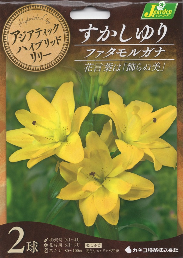 八重咲すかしゆり ファタモルガナ