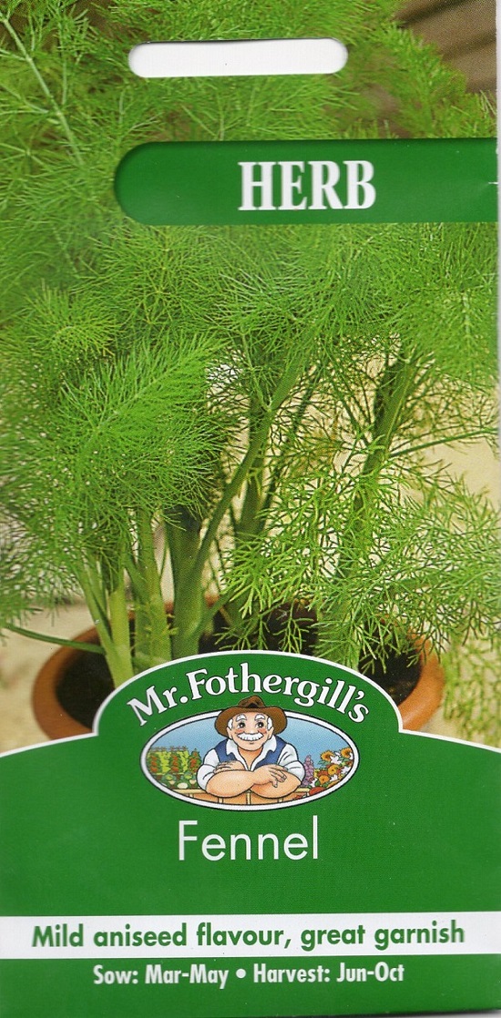HERB Fennel ハーブ フェンネル