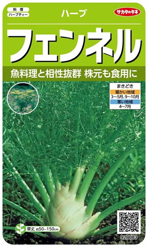 フェンネル