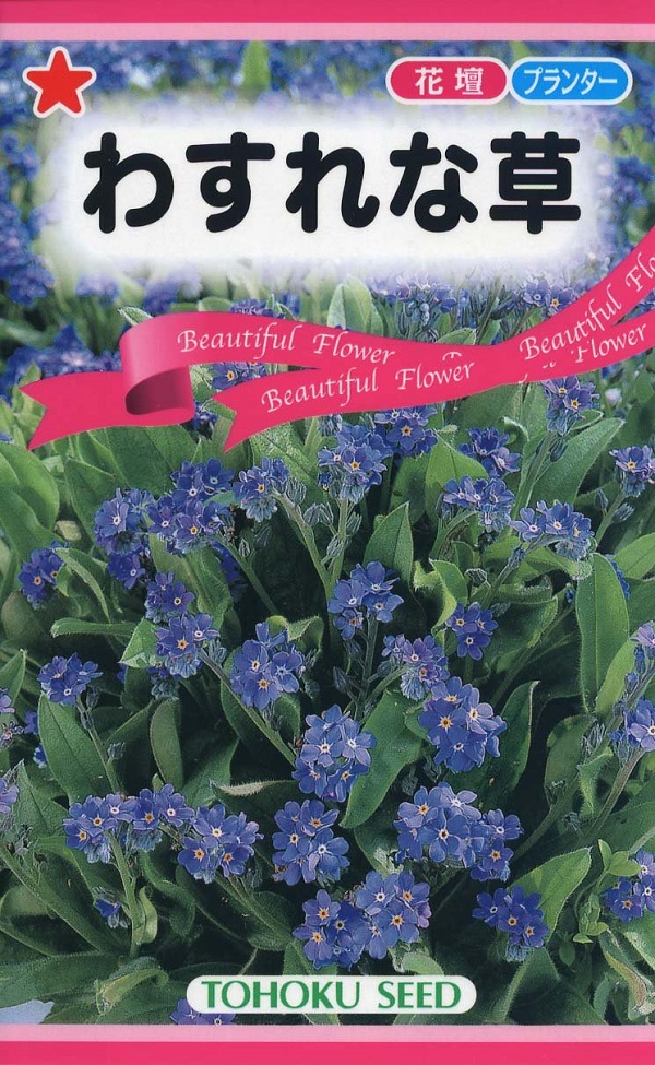 忘れな草