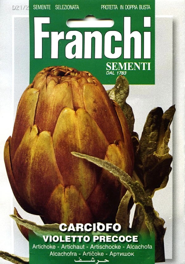 アーティチョーク