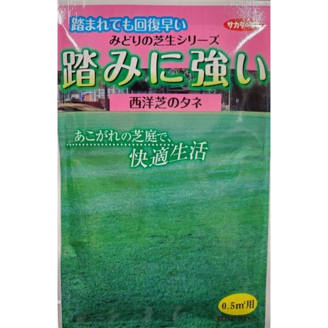 踏み強い芝