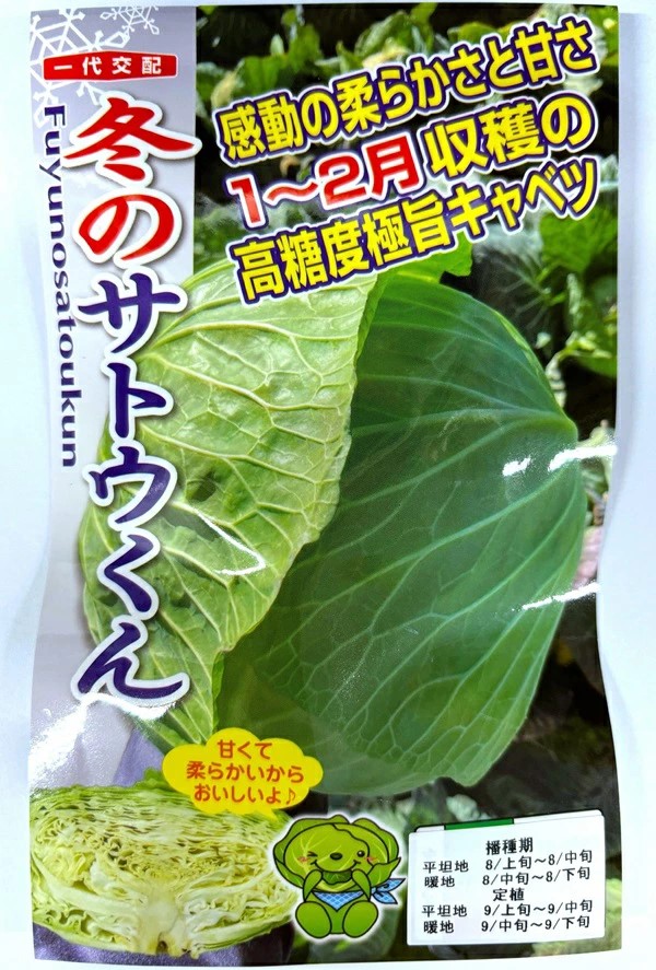 冬のサトウくん キャベツ