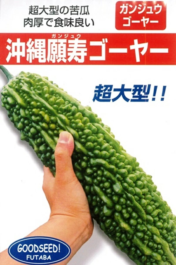 沖縄　願寿ゴーヤー