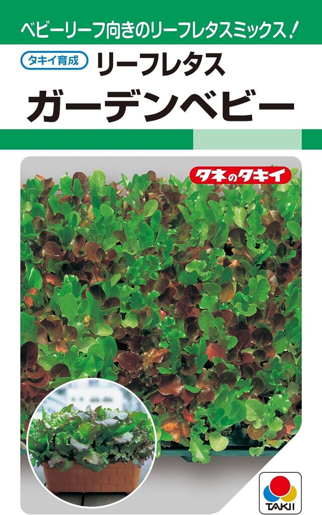 リーフレタス　ガーデンベビー