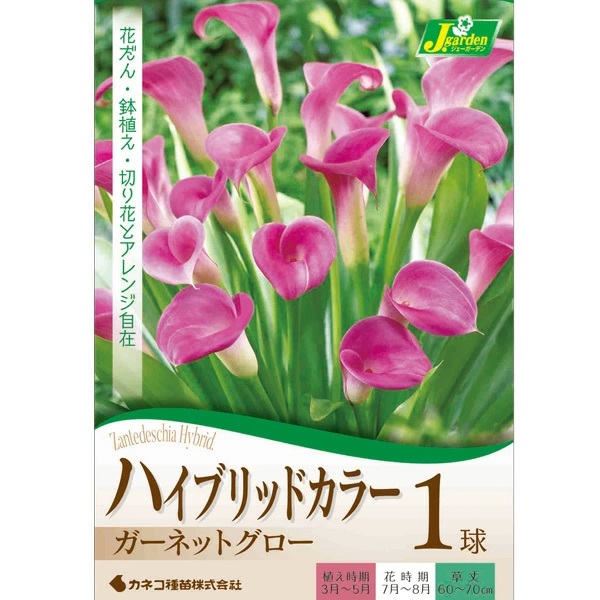 ハイブリッドカラー ガーネットグロー 1球入
