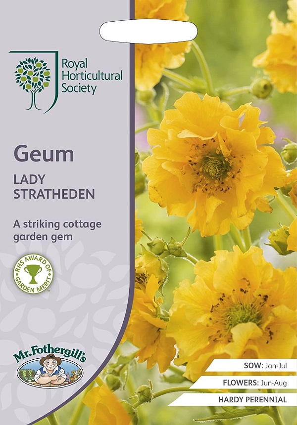 geum ady stratheden