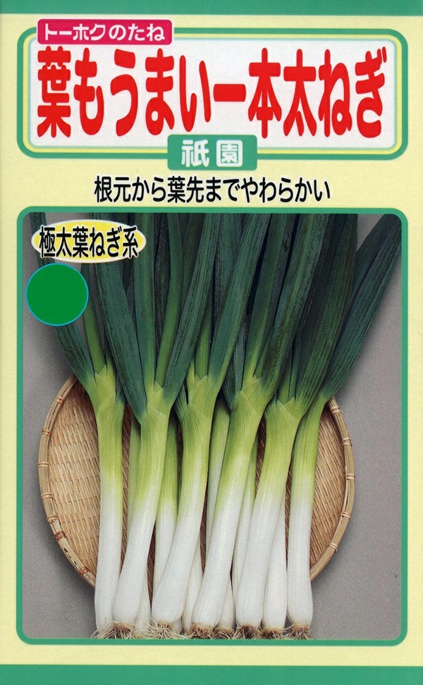 ねぎ　祇園