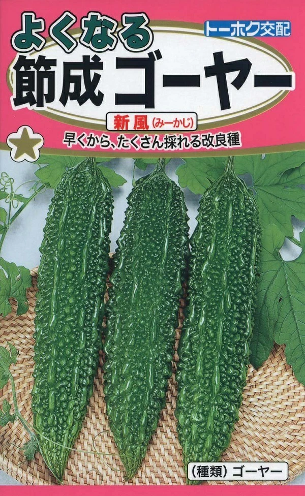 よくなる節成ゴーヤー 新風（みーかじ）