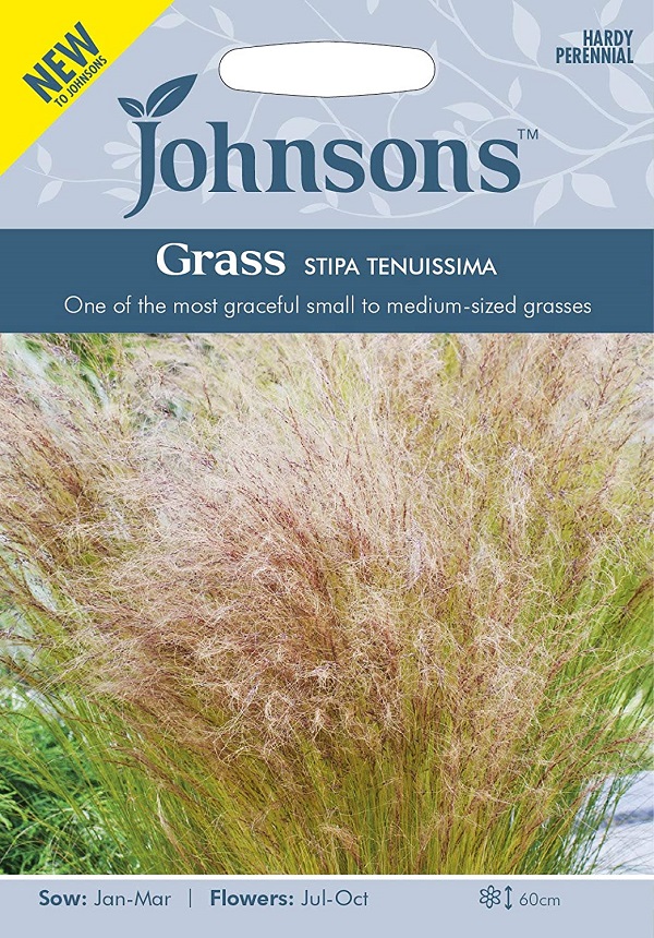 grass stipa tenuissima