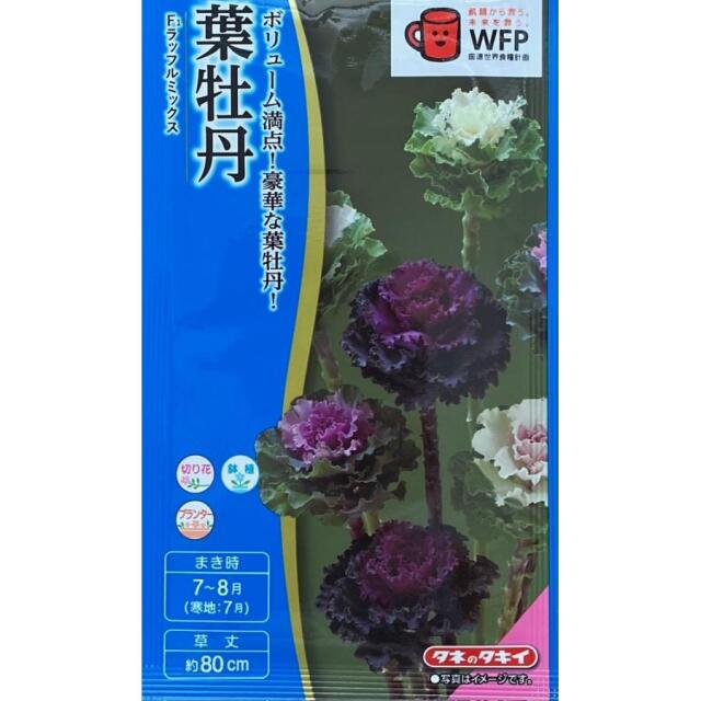 葉牡丹ラッフルミックス