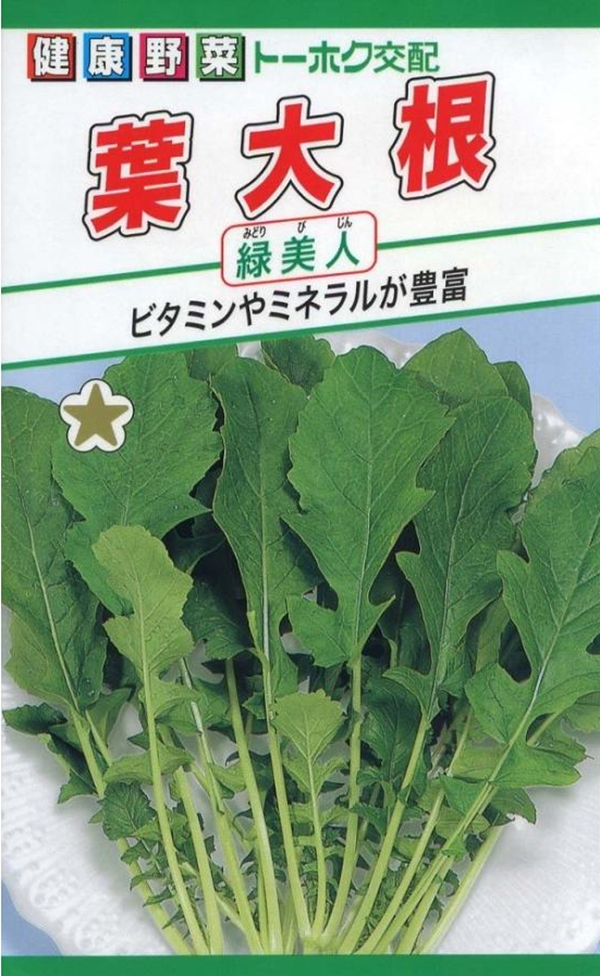 葉大根 緑美人