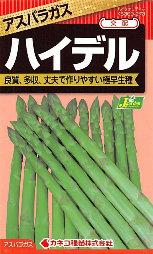 アスパラガス ハイデル
