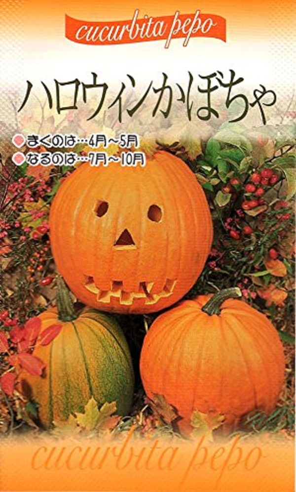 ハロウィンかぼちゃ