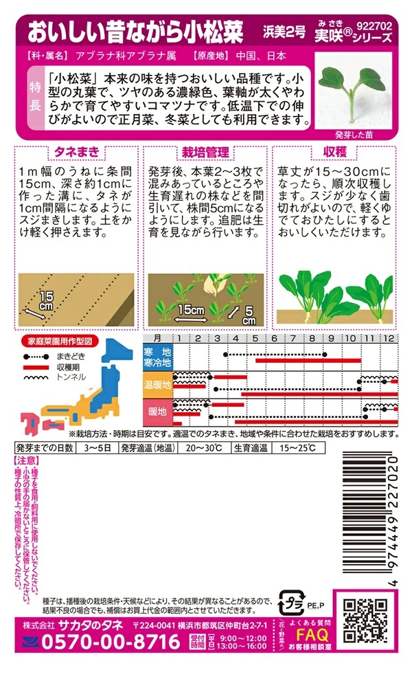 小松菜浜美2号
