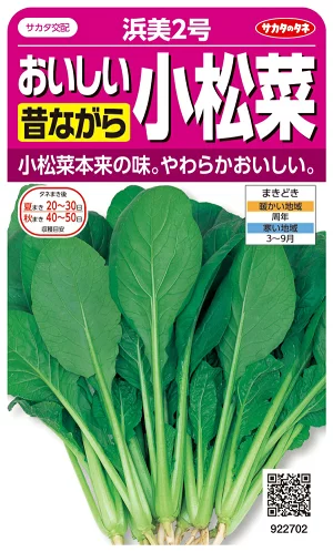 おいしい昔ながら小松菜