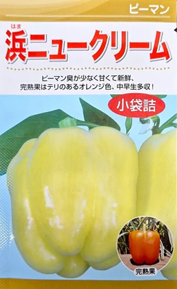hamapi-man