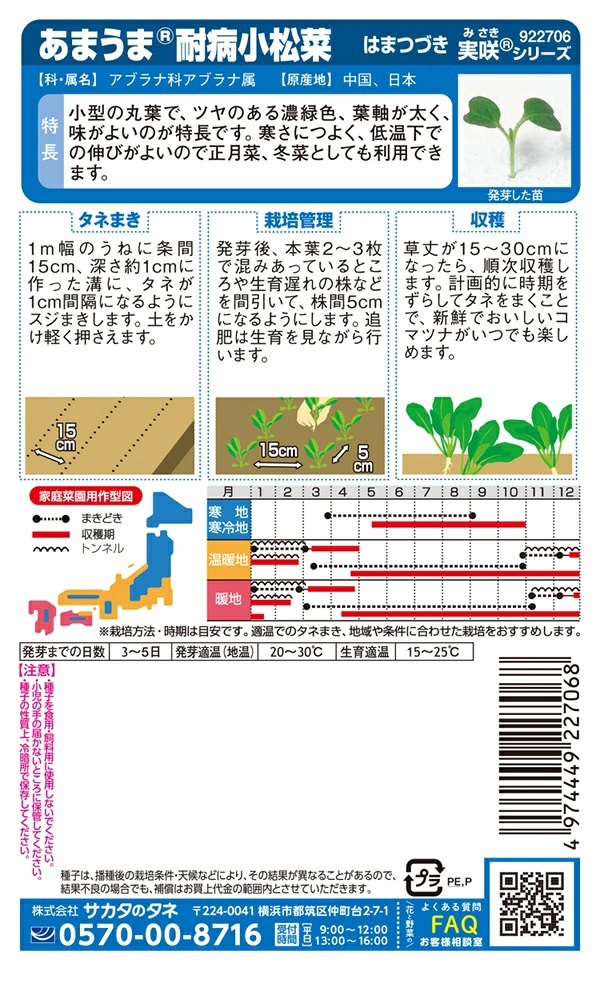 あまうま耐病小松菜はまつづき