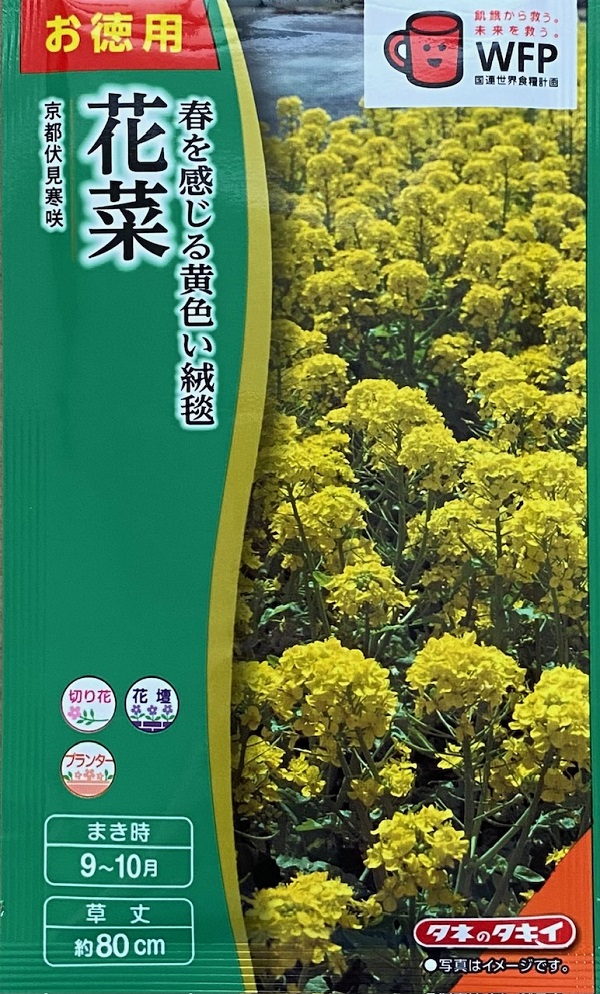 観賞用花菜