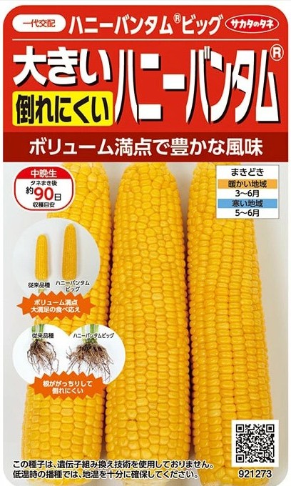 ハニーバンタムビッグ