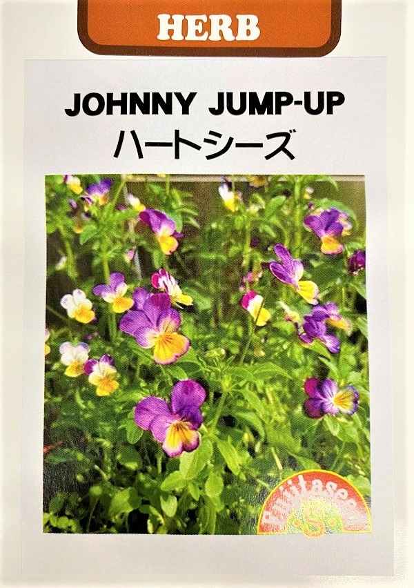 ハートシーズ