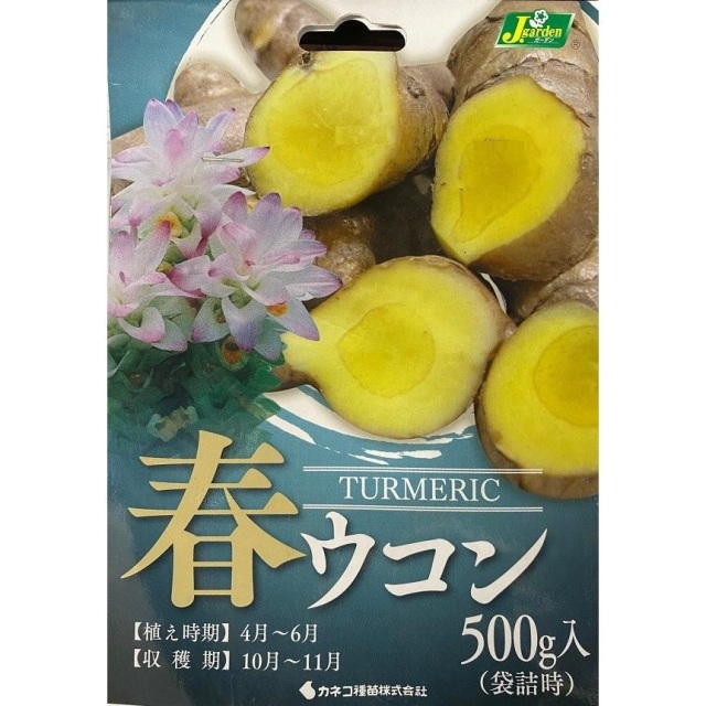 春ウコン500