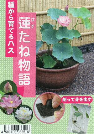 蓮たね物語
