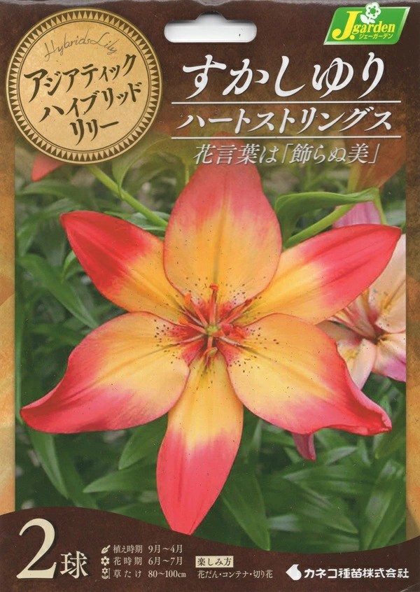 すかしゆりハートストリングス