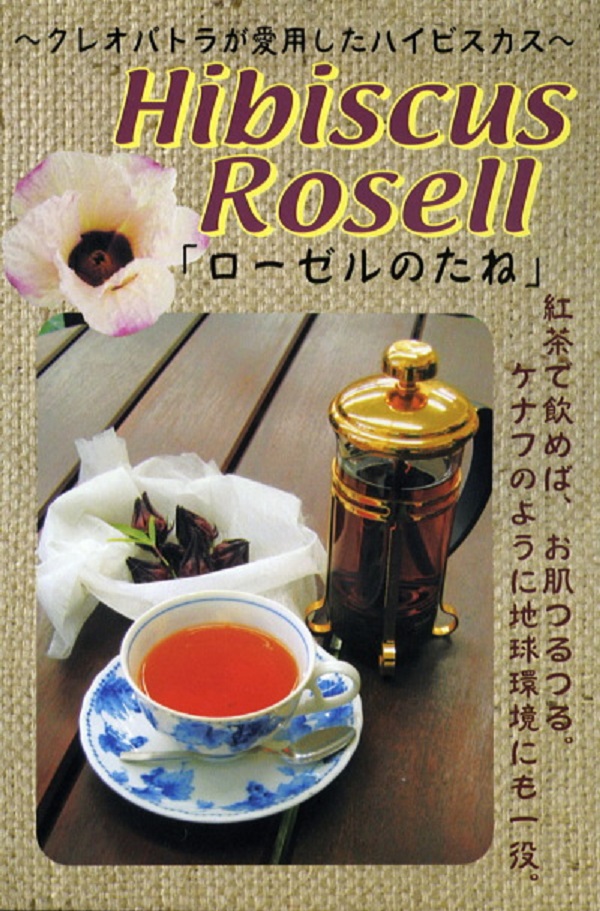 ハイビスカスローゼル