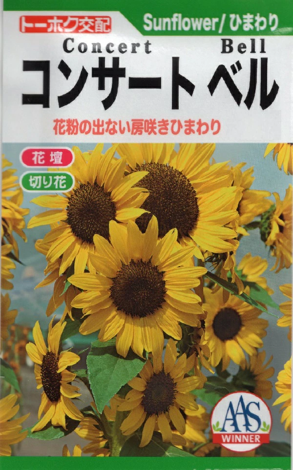 向日葵（ヒマワリ） Sunflower Gardener's Shop Ivy