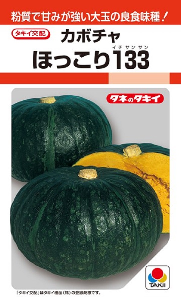 カボチャほっこり133