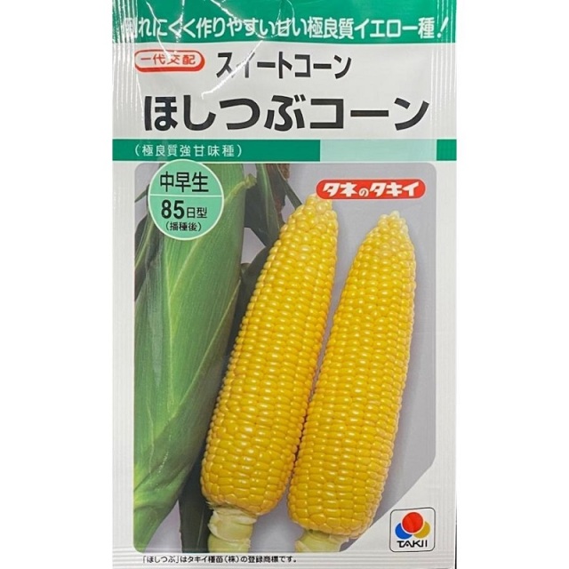 トウモロコシ　ほしつぶコーン