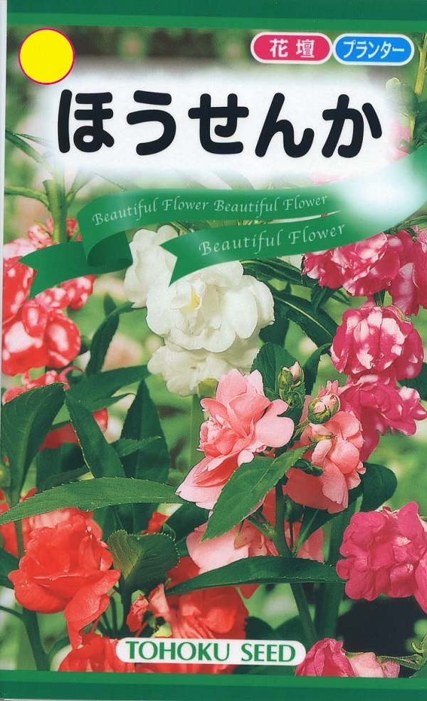 ほうせんか