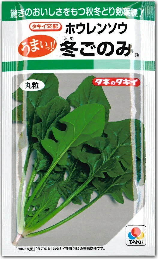 ホウレンソウ冬ごのみ