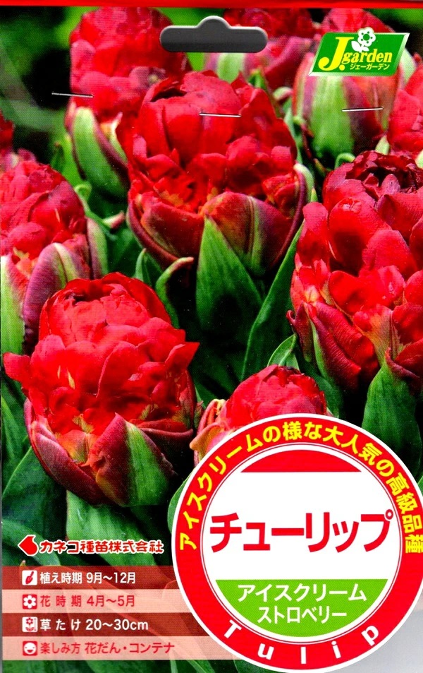 チューリップアイスクリームストロベリー