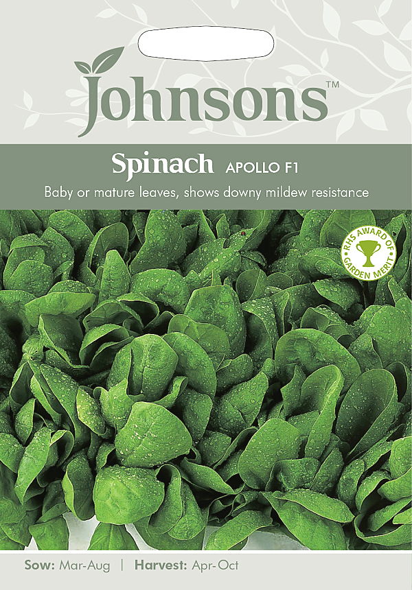 スピナッチ（ほうれんそう） アポロ・F１