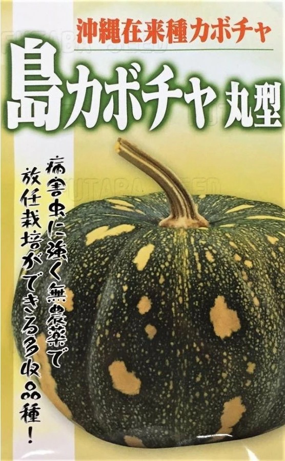 島カボチャ　丸型