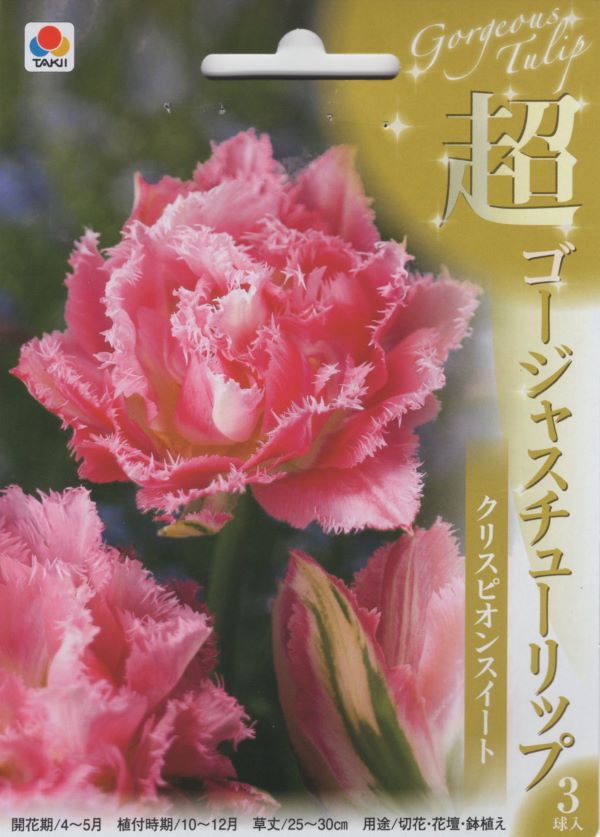 超ゴージャスチューリップ クリスピオンスイート