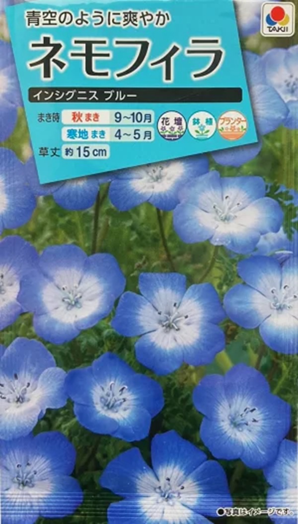 insignisblue
