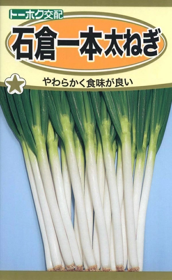 石倉一本太ねぎ