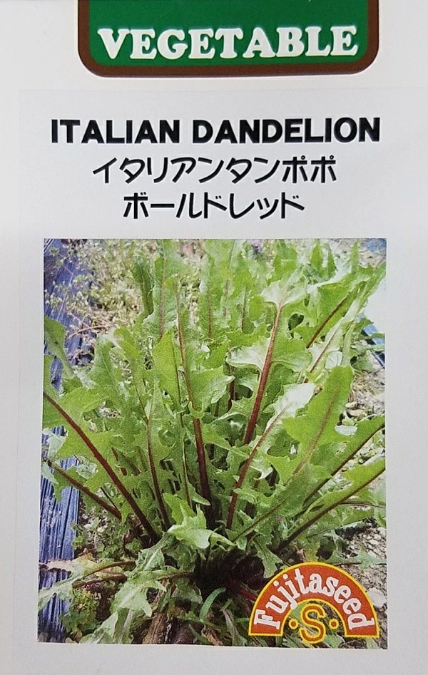 イタリアンタンポポ　ボールドレッド