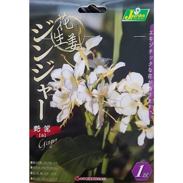 花生姜艶麗